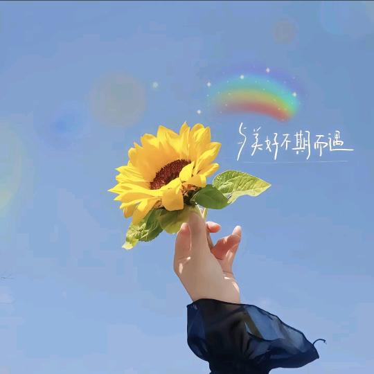 🌸闪闪🌸🌴