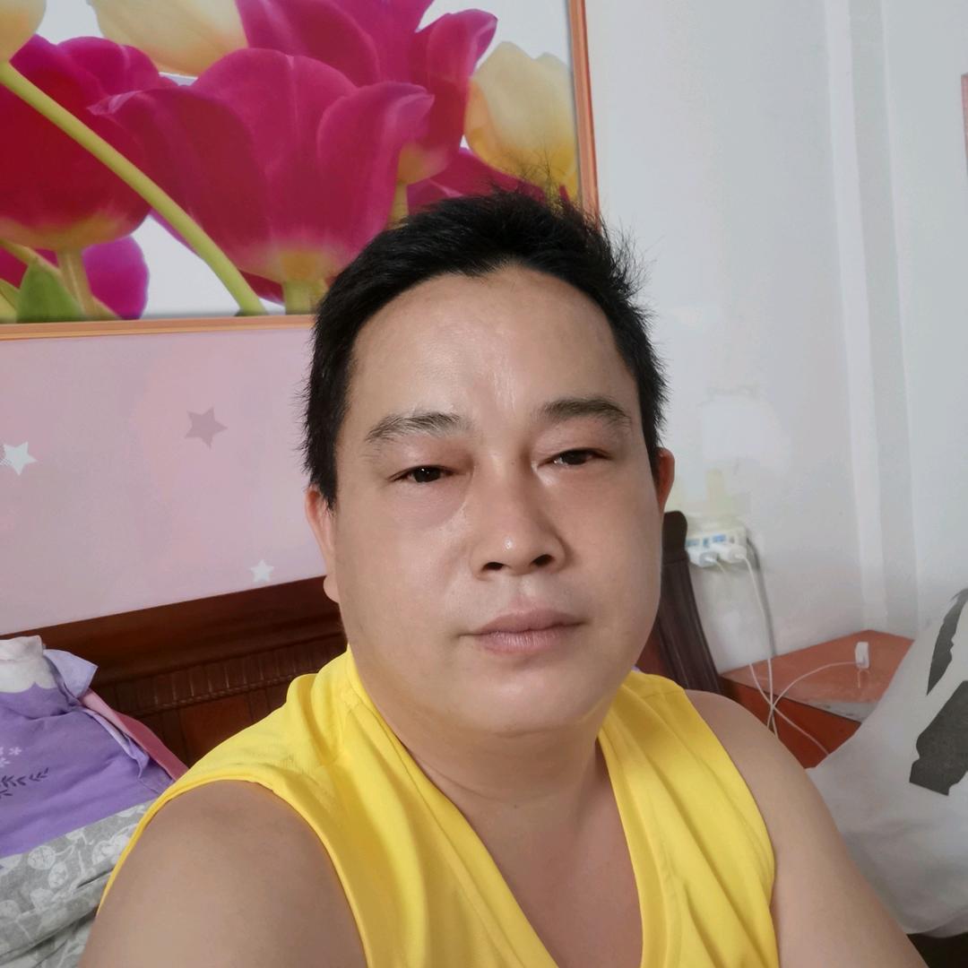 吴鸽