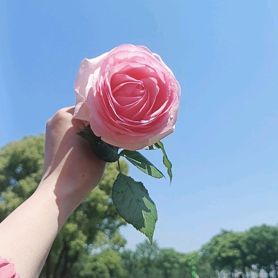 陕西妹纸