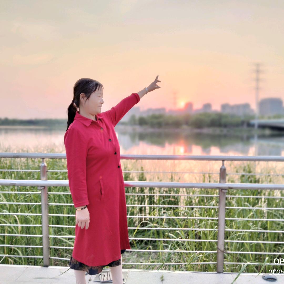 刘大姐