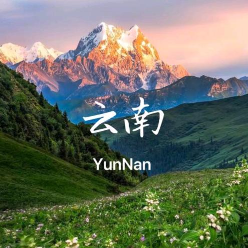 一亩三分地～植物农场