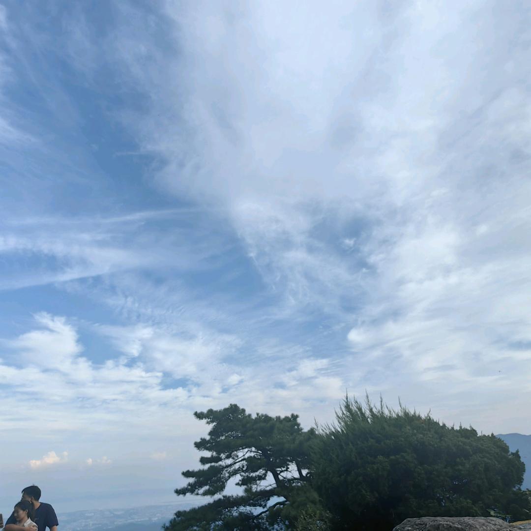 徐政