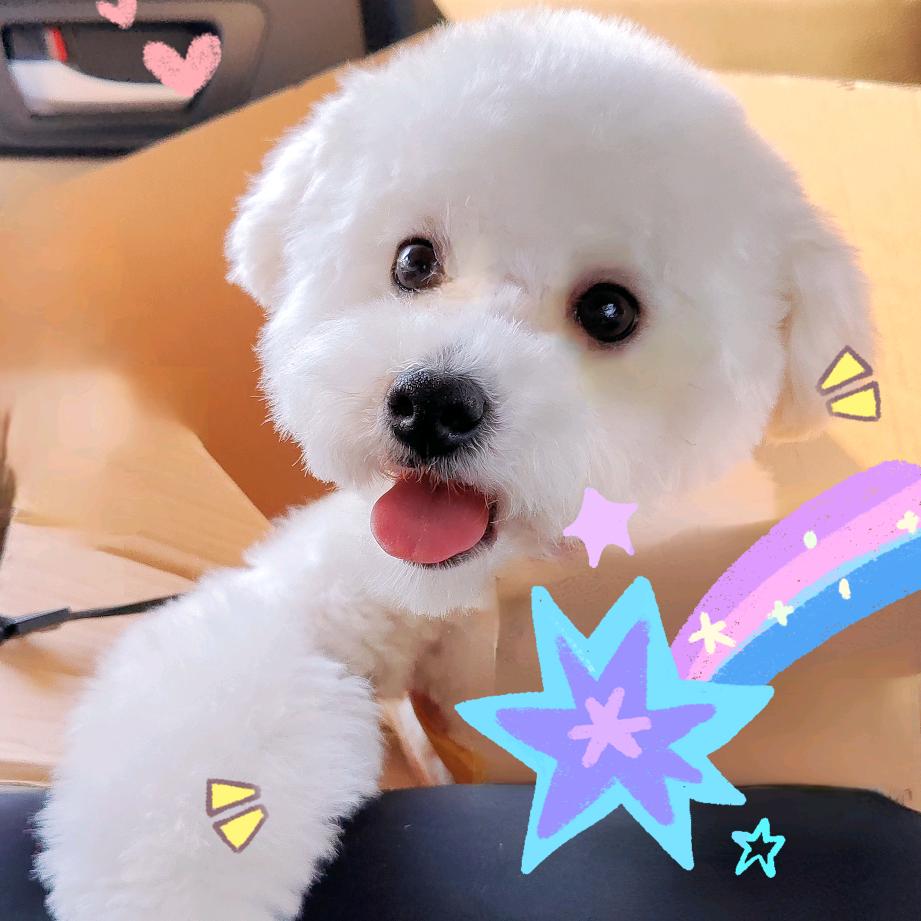 青岛又顺宠物用品供应链