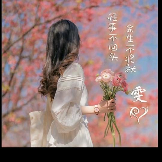 %梦倾城