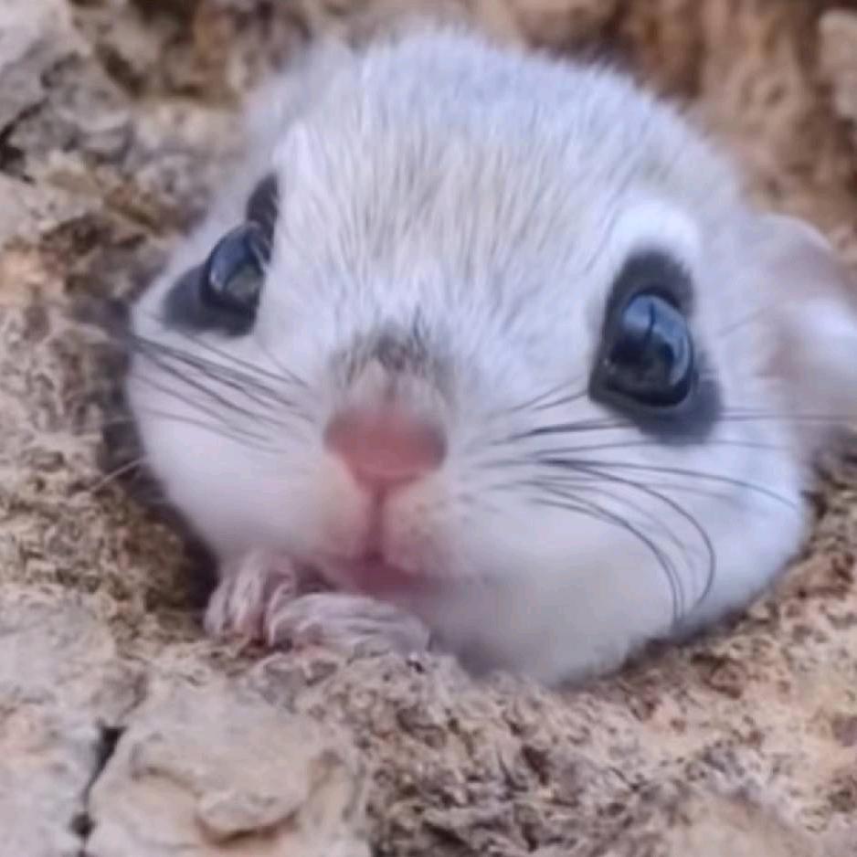 榕榕榕榕榕榕榕榕榕榕