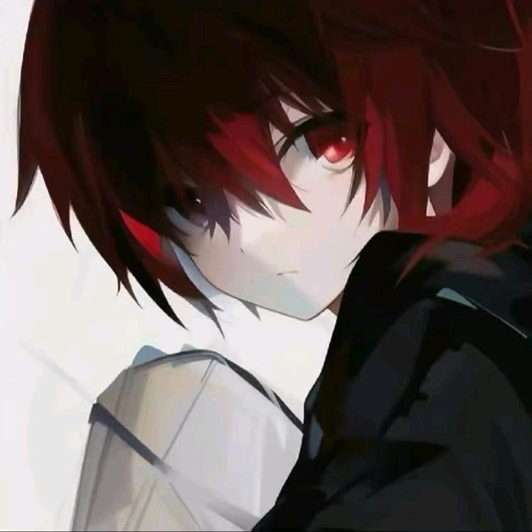 泽冺