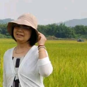 金今乐(10.30开播)