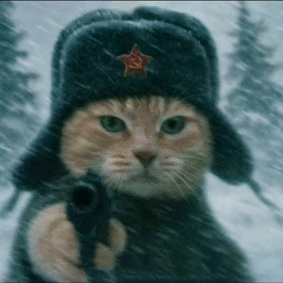 是牢作者呀(抖音)