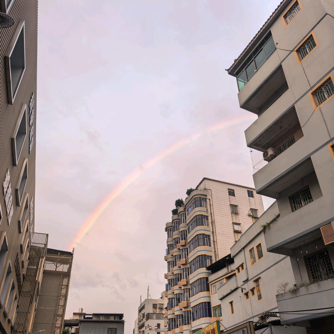 随风静守