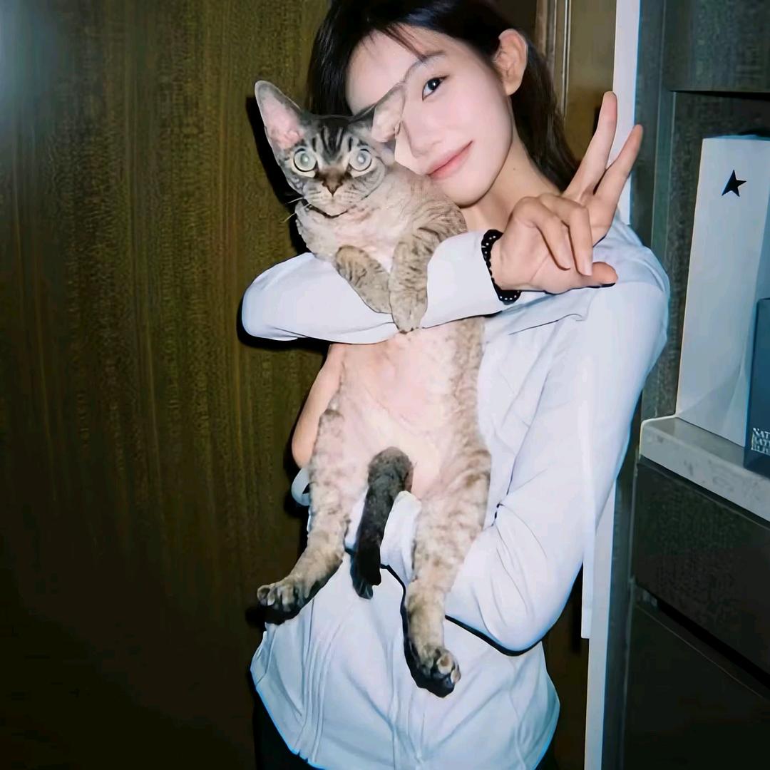 🛋️
