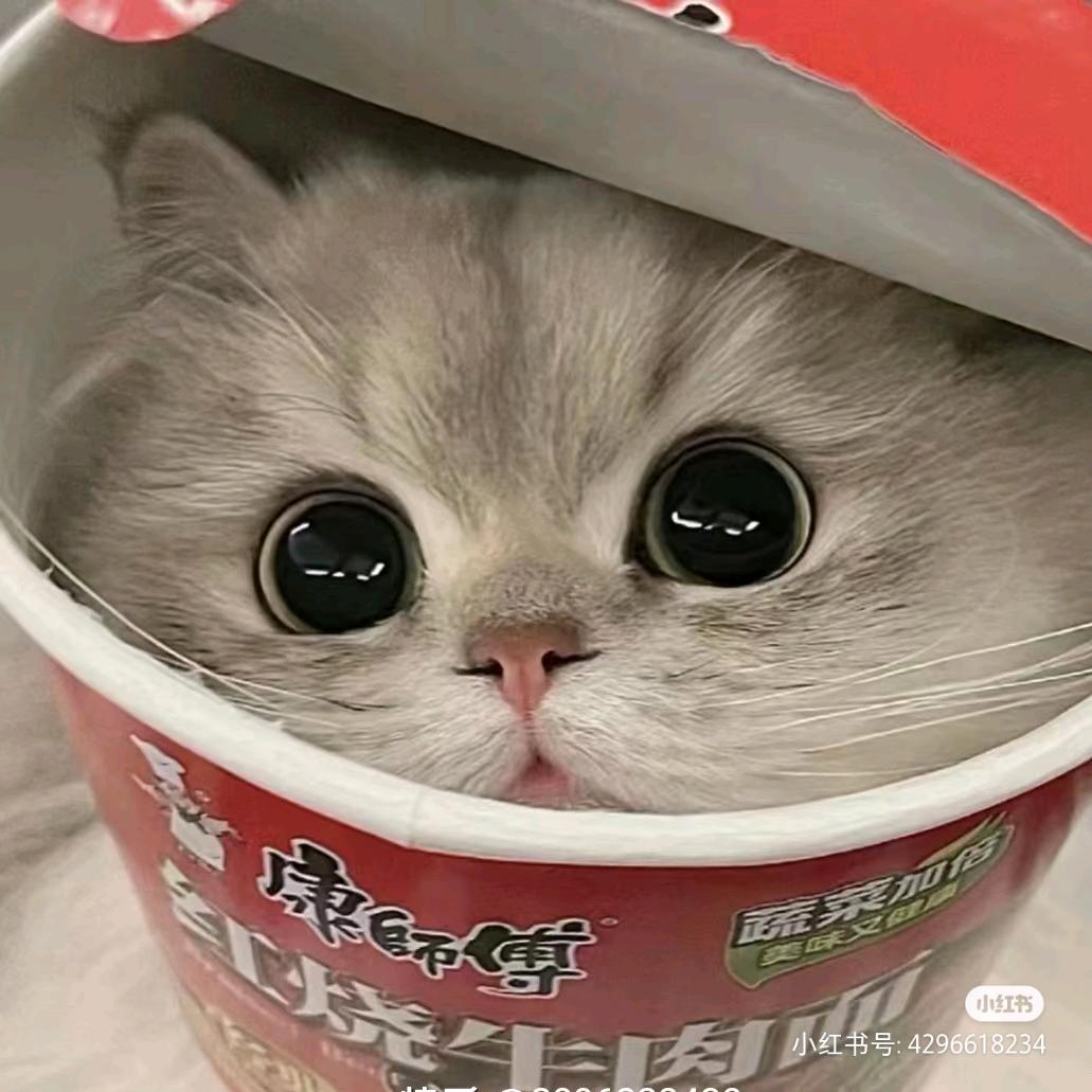 🧁