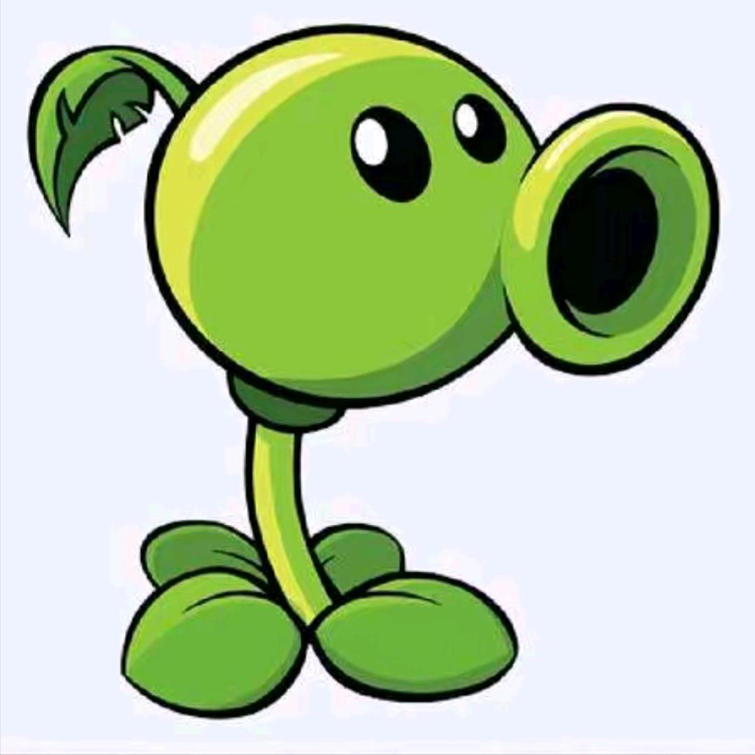 🟢 🟢 🟢 🟢 🟢 🟢 🟢