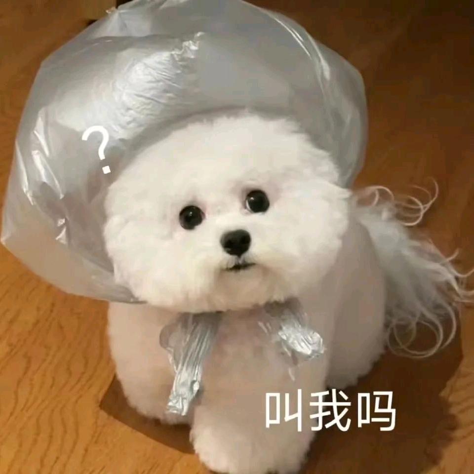 柠萌萌