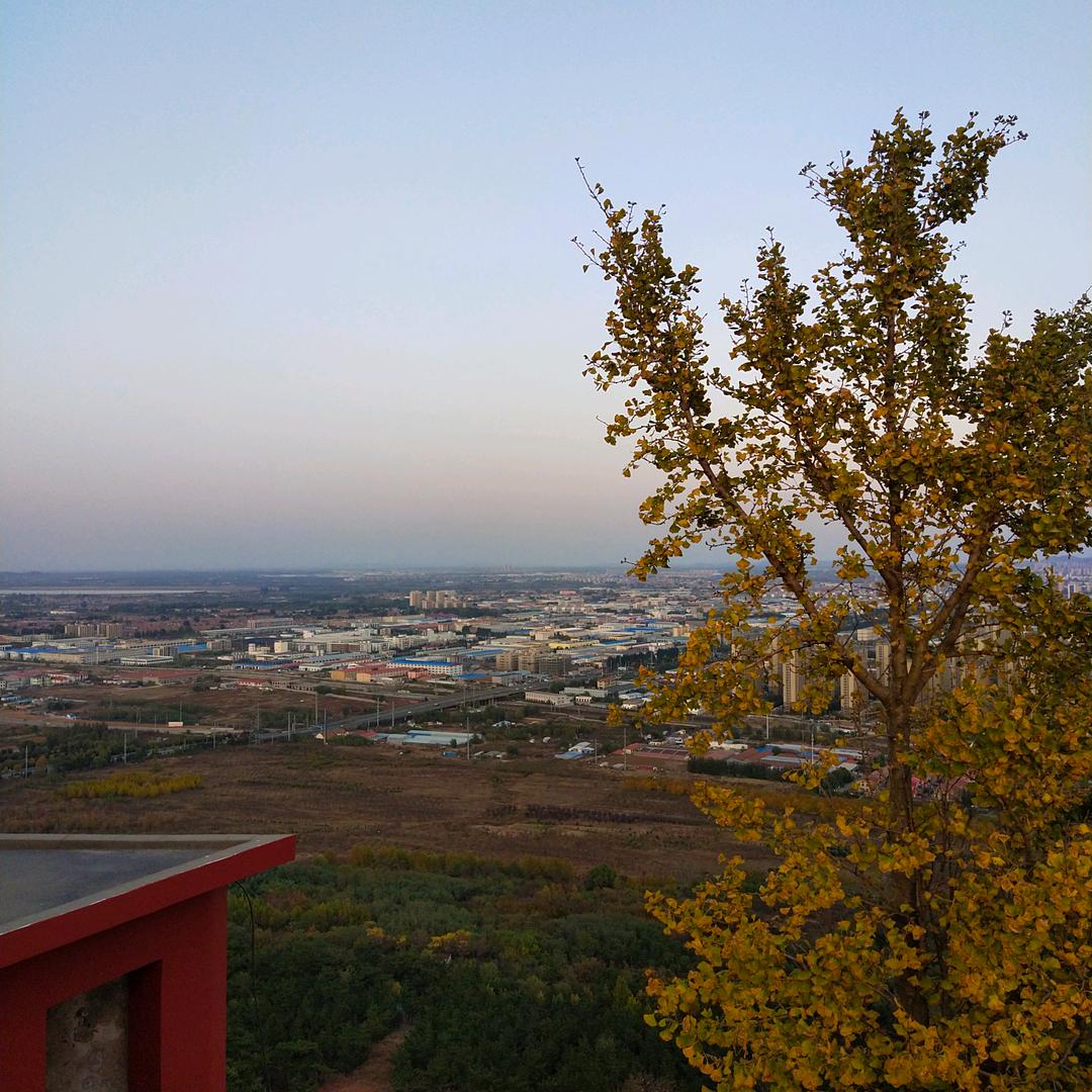 杨哥