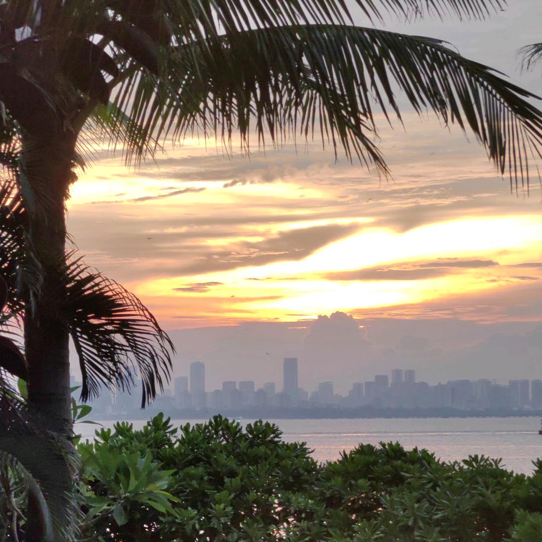 番茄西红柿（乡乡小助理）