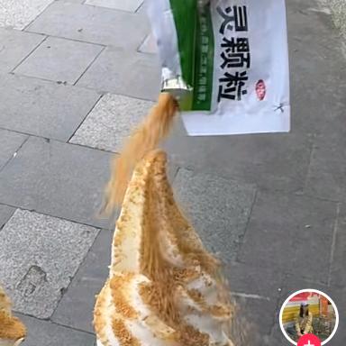 意外的抖音号