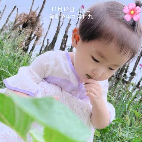 断桥铝门窗，纱窗，修窗户