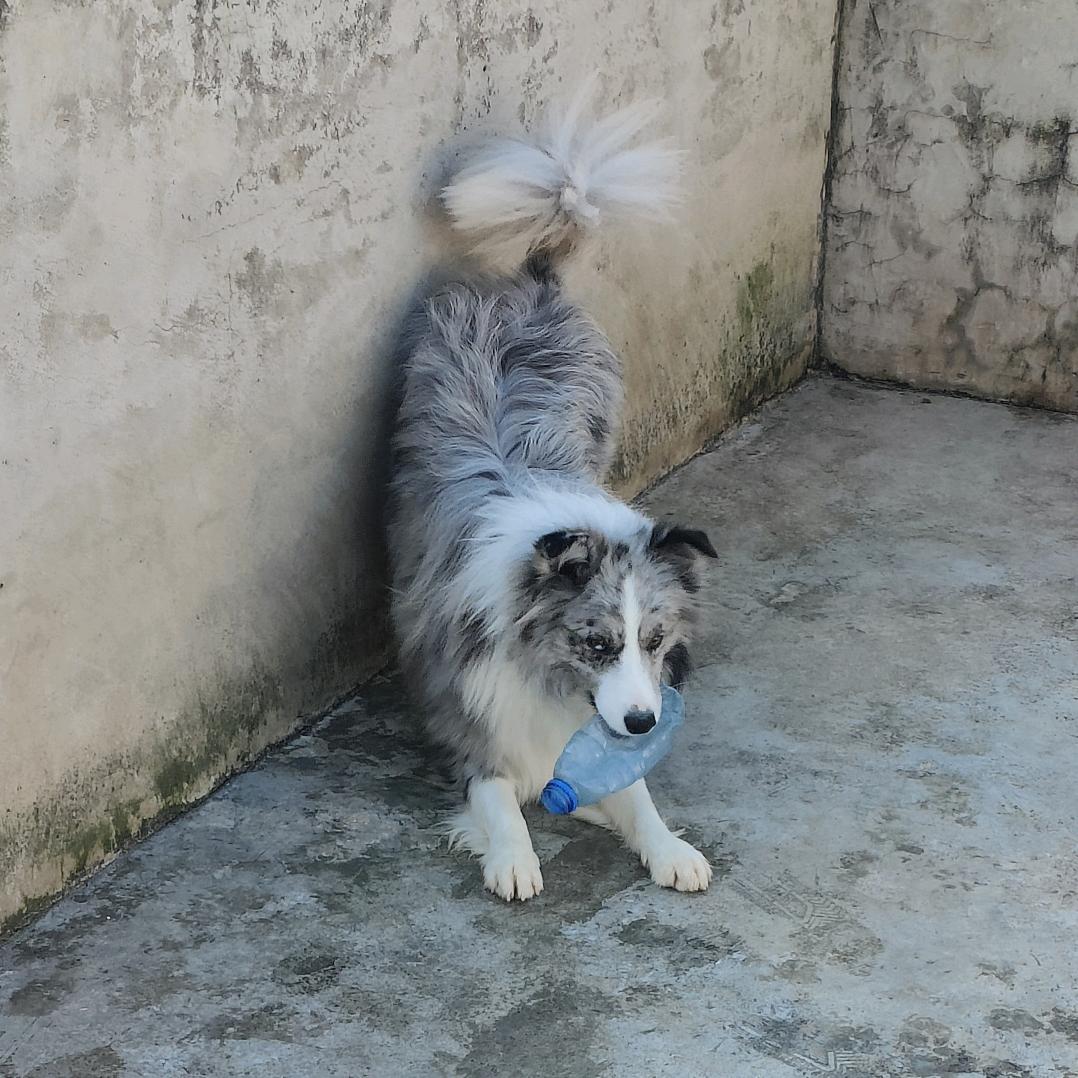 (ꐦÒ‸Ó)你个老六