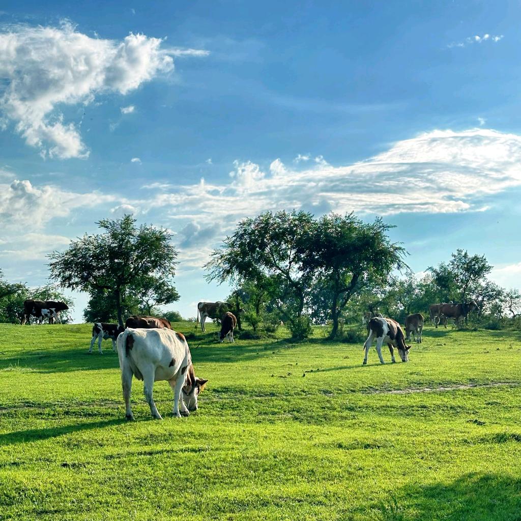 仁怀嘉宝莉松瑞油漆