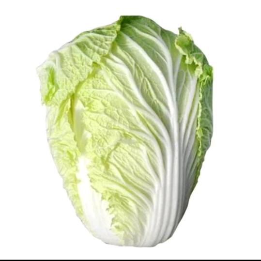 🌈等🐷的白菜