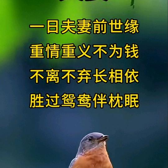 一个人生活