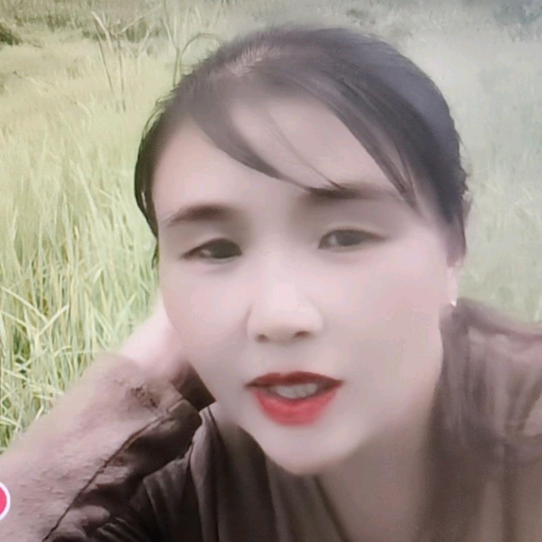 出售黑山羊