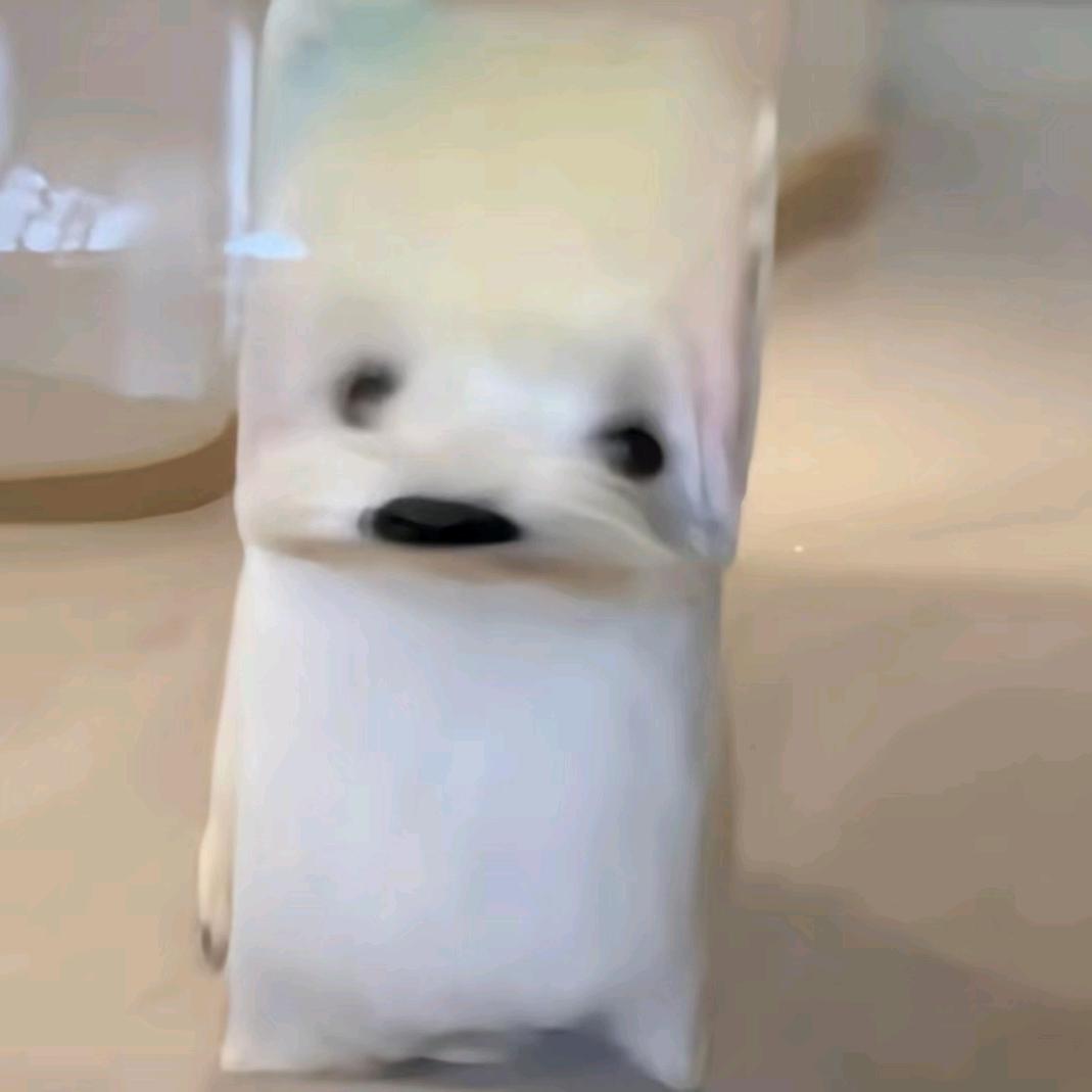 呆