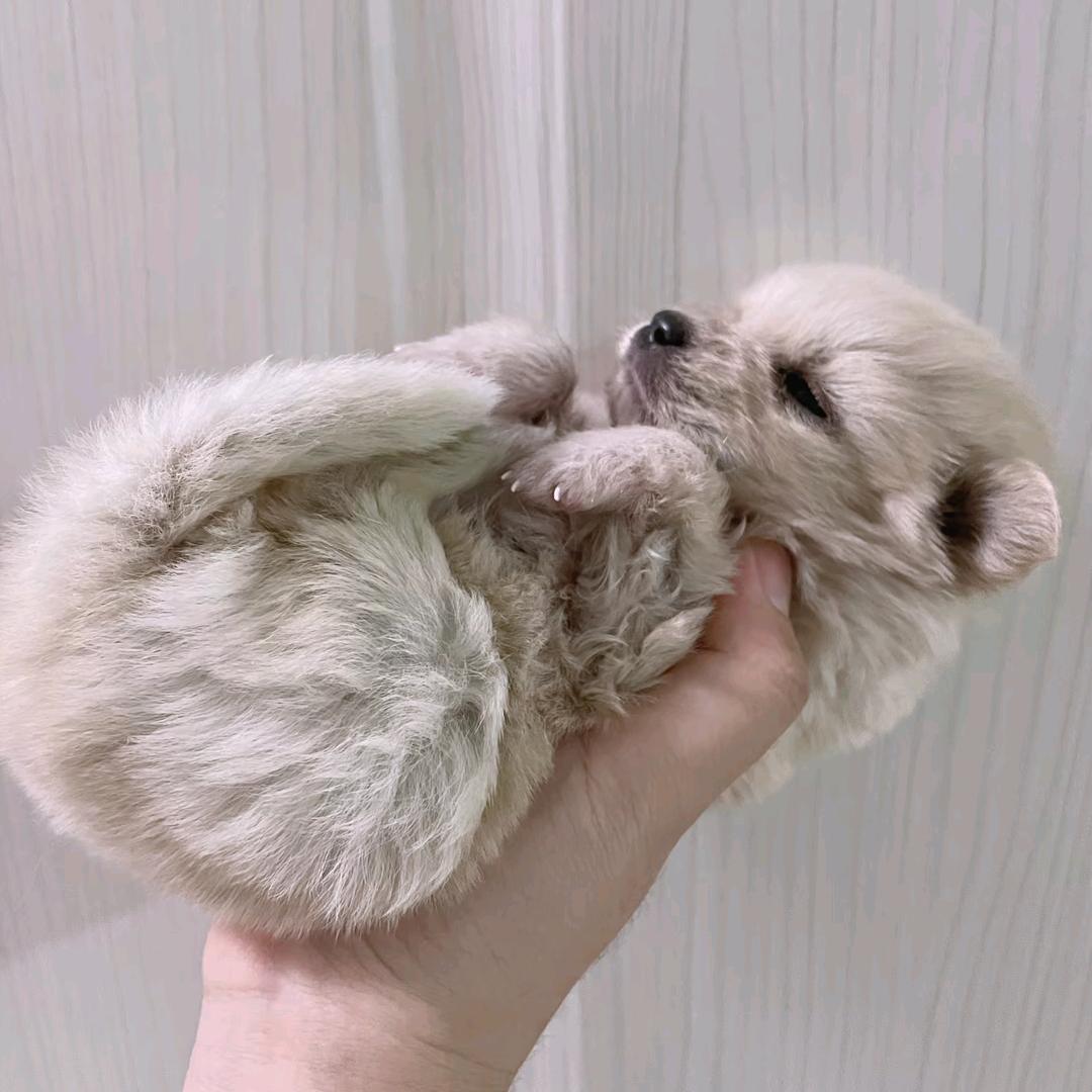 慢生活研究所