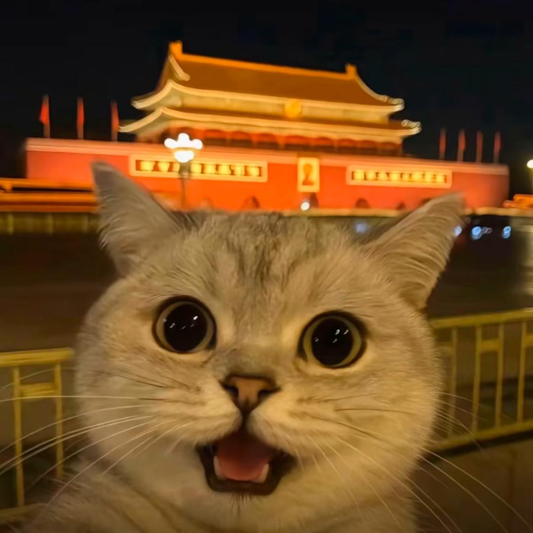 橘