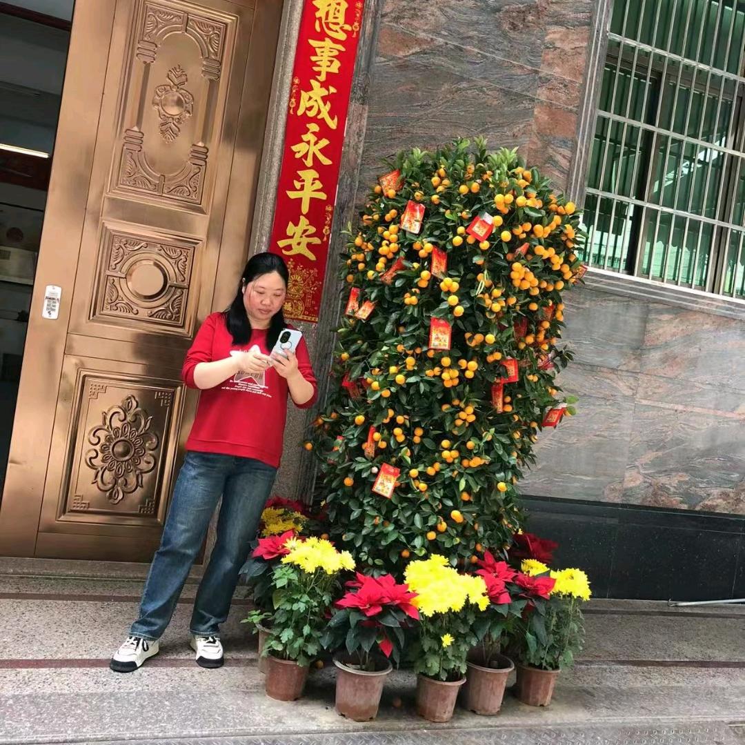 申七姐
