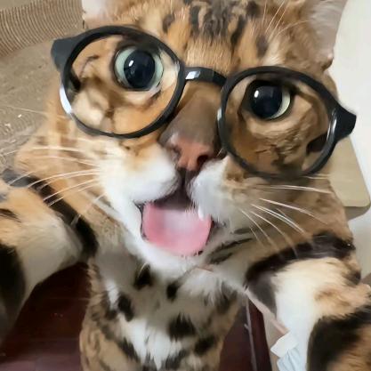 QwQ