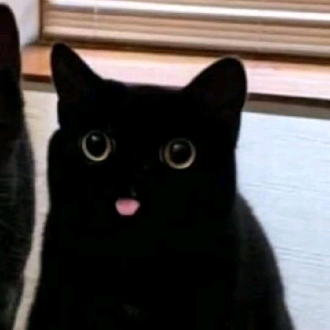 栗子猫猫军师
