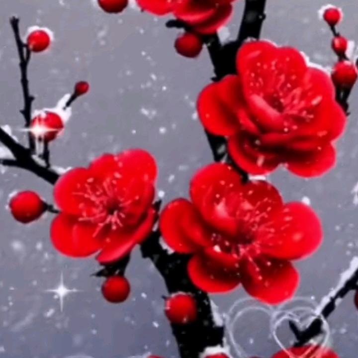 梦想