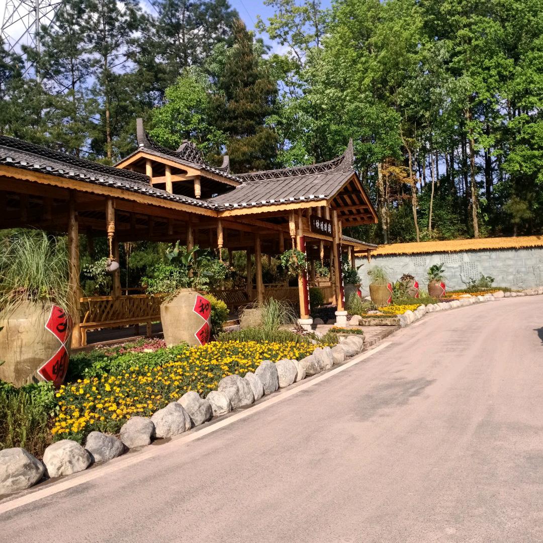 冯建