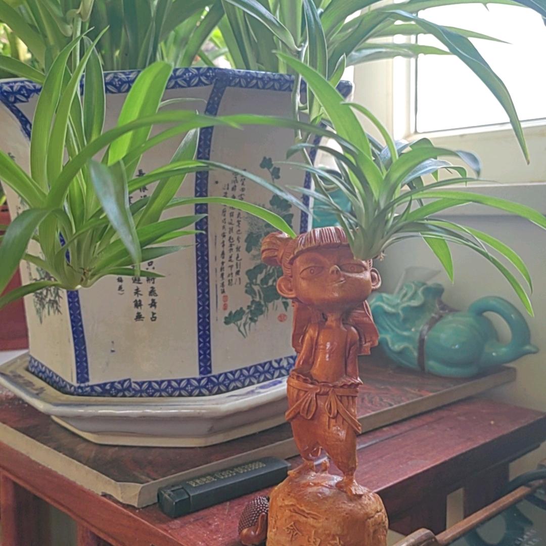 笨笨的祈福