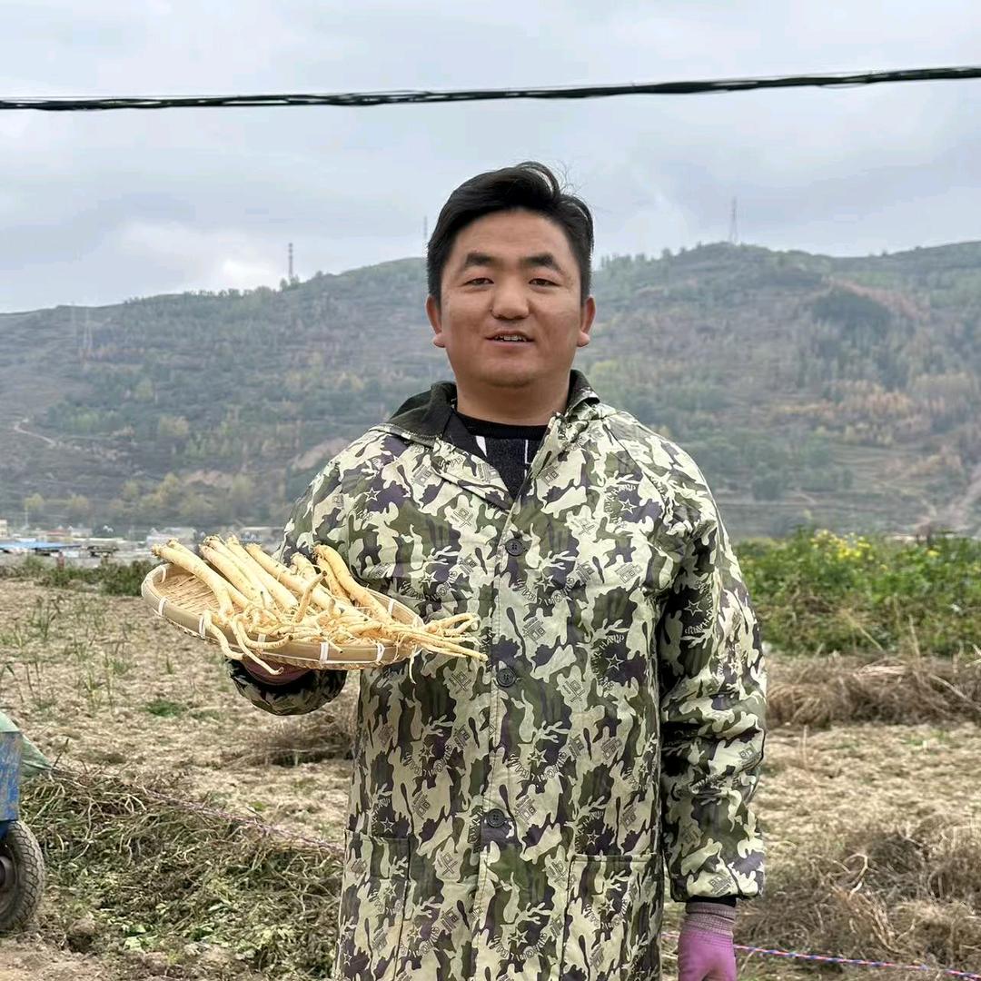 岷县强仔归芪参滋补品