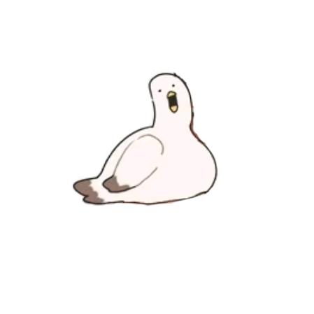 北鸽仙贝