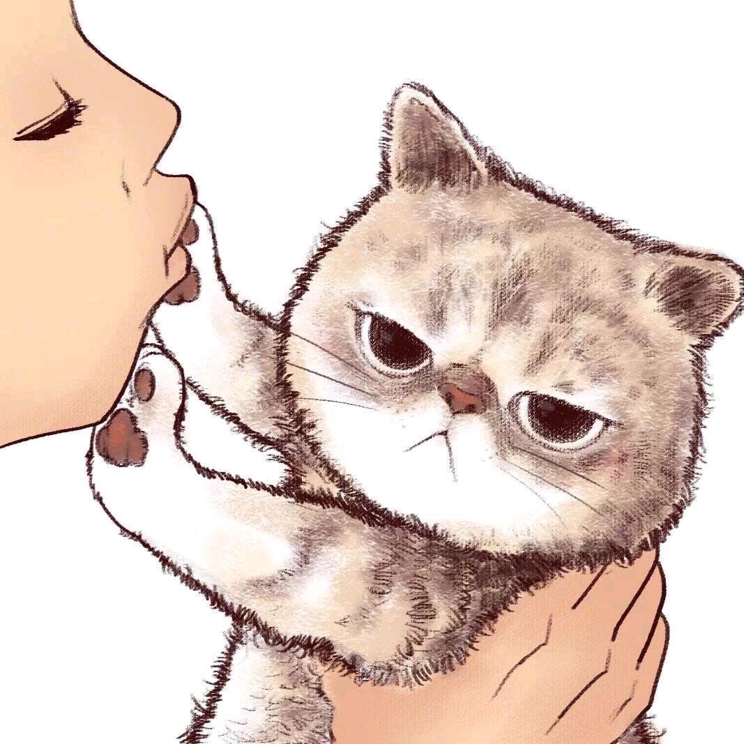 涵哲