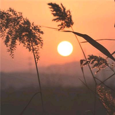 越来越好🌻🌻