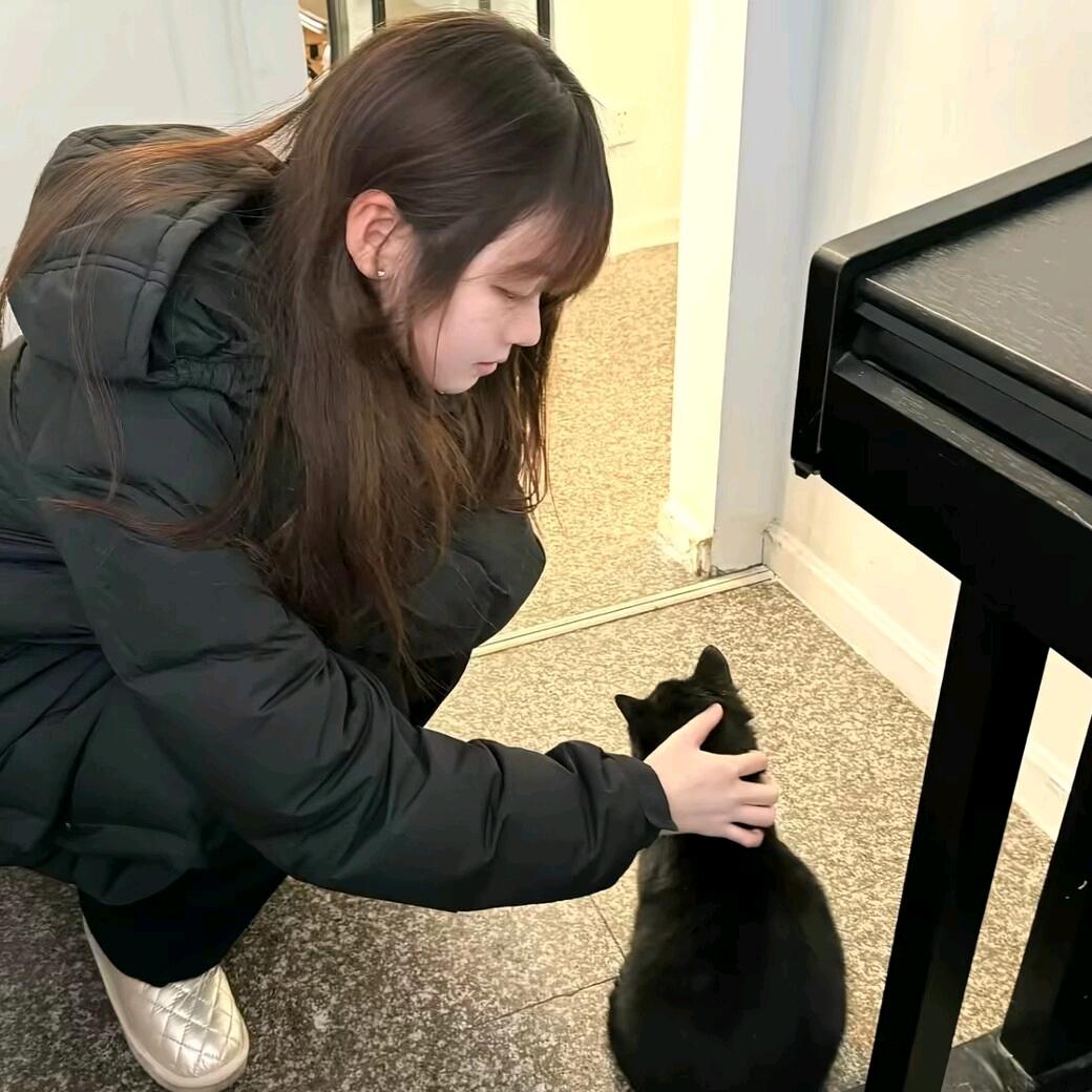 懒洋洋
