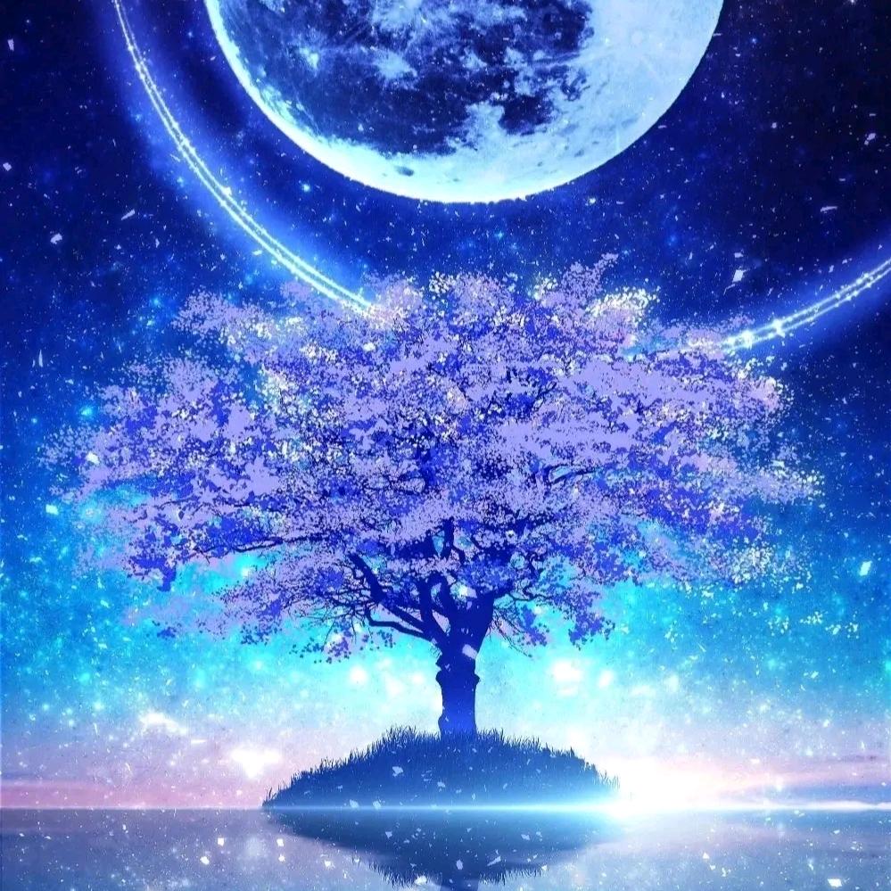 星星耀眼 赛丽娜