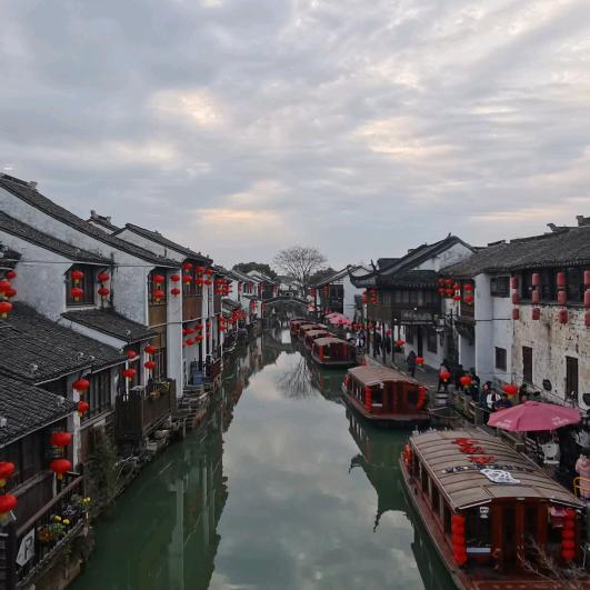 叶子和枫