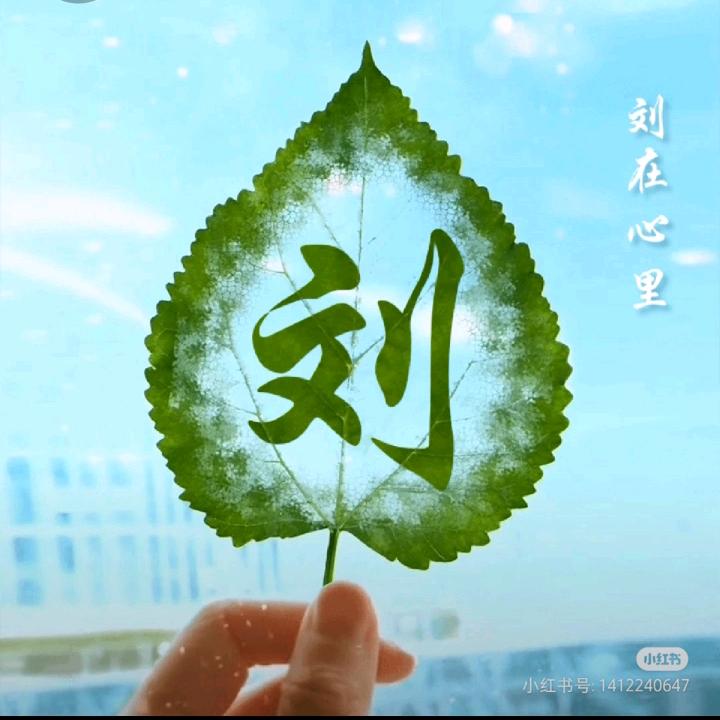 刘点钱