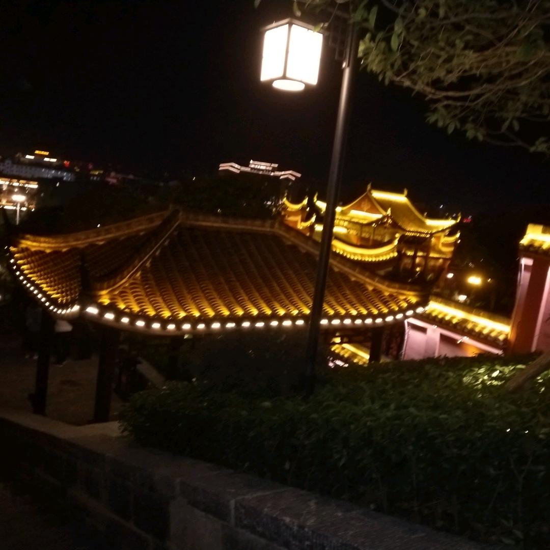 意志