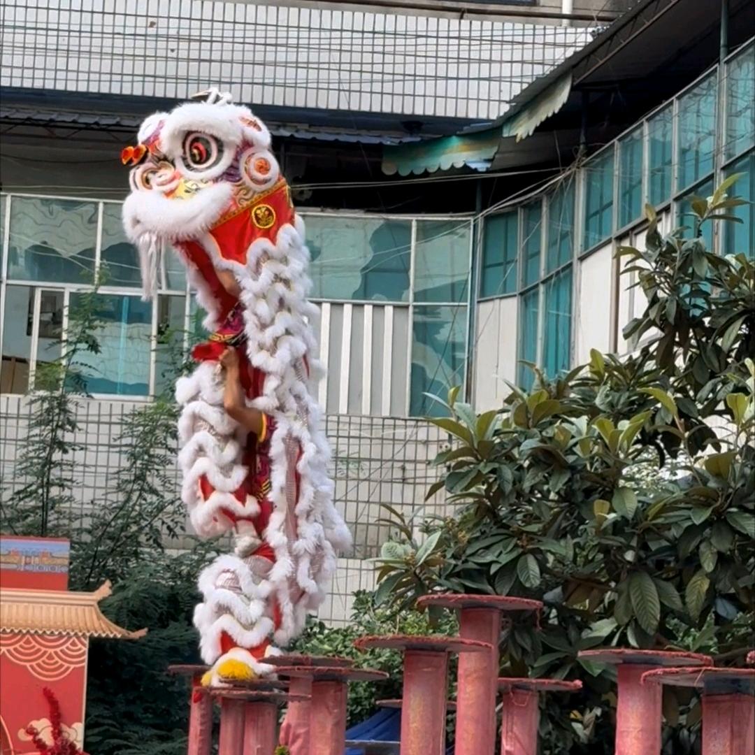 洋芋狮       ╰╮