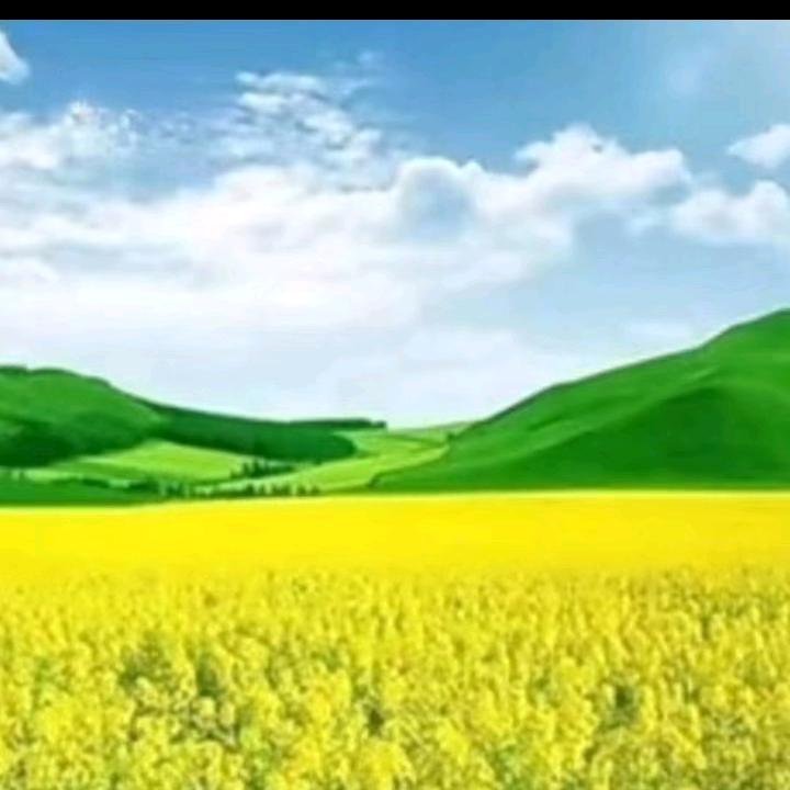 静心(周)