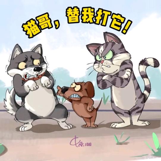 顶嶏 松江大米直销