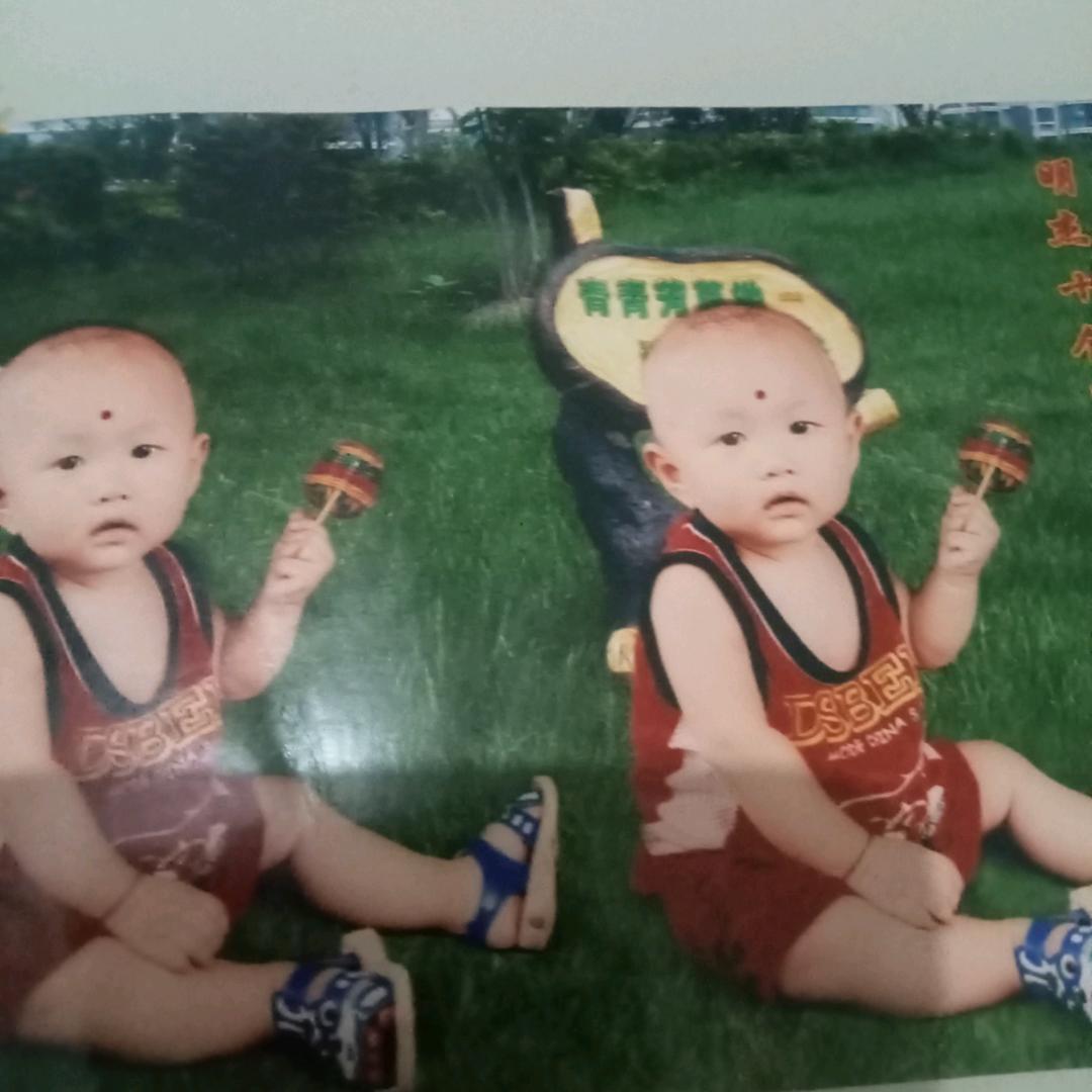 春天的燕子