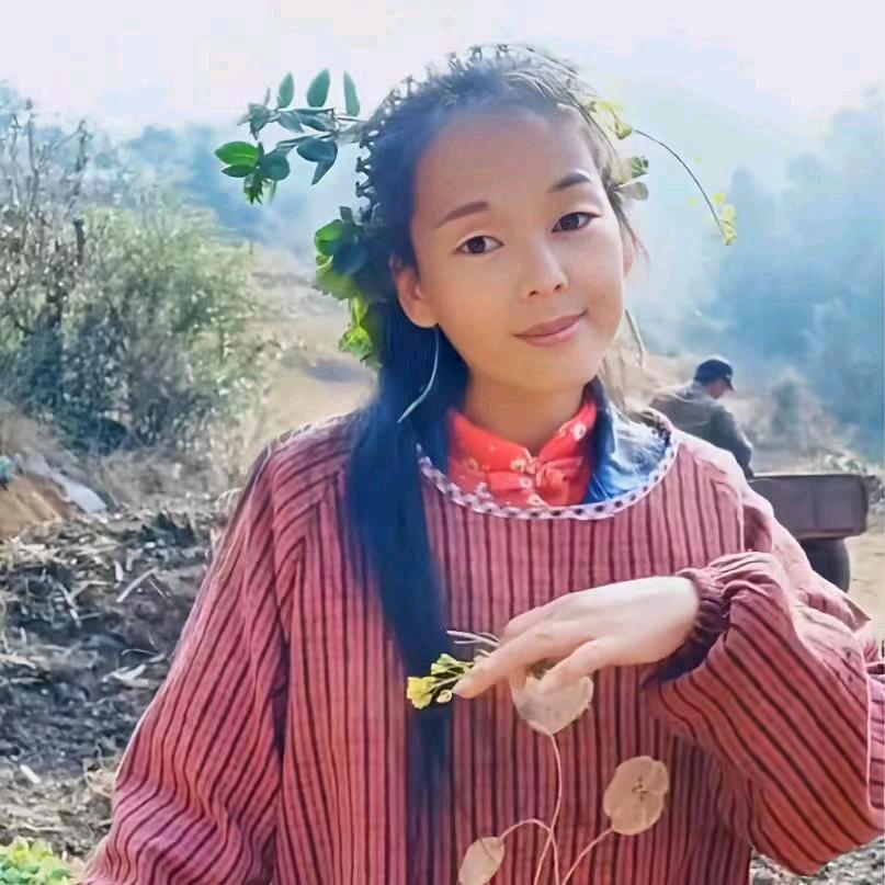 馨方:下午15:00开播
