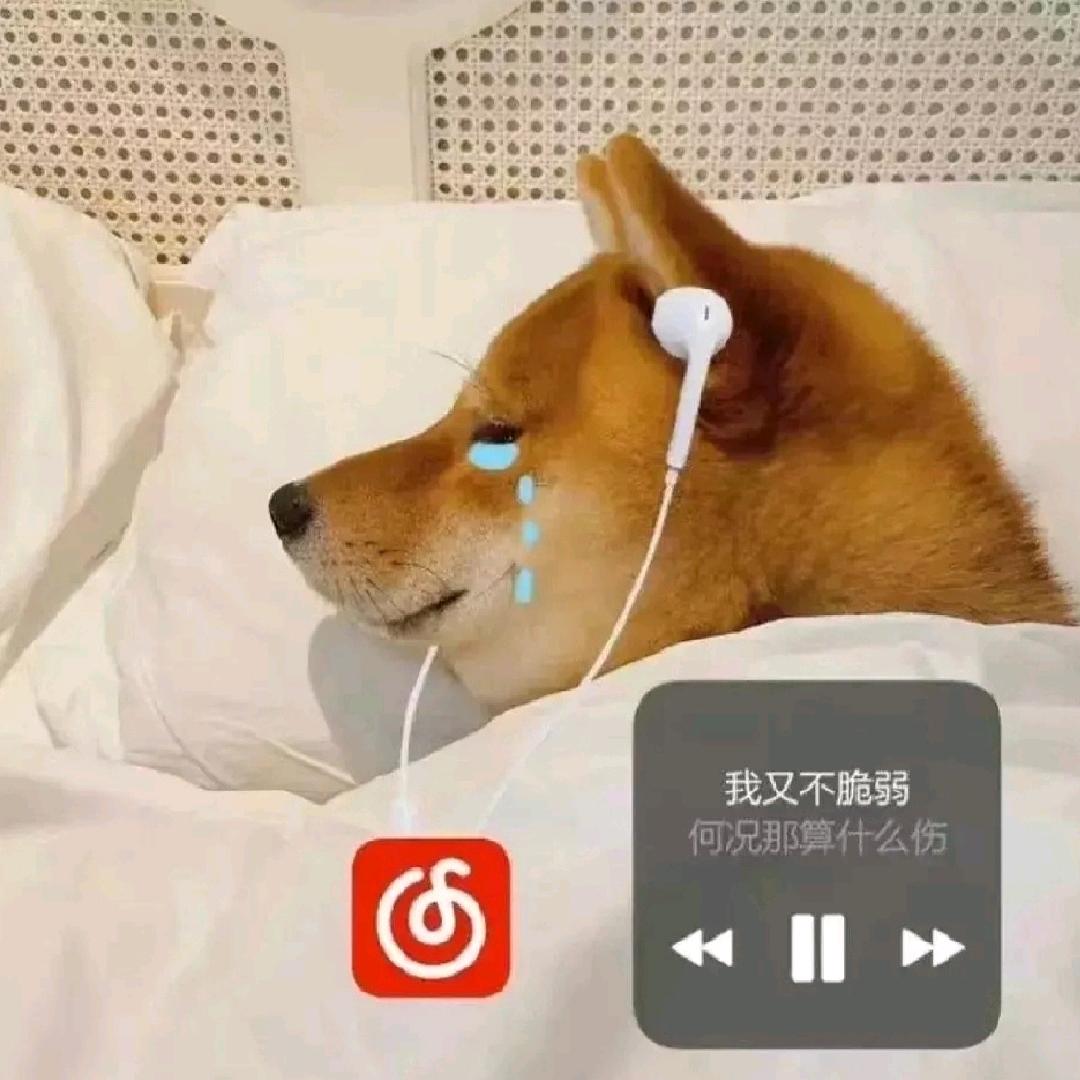 听雨落c